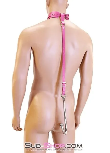 0767A      Femme Trainer Adjustable Anal Hook Trainer and Collar Set, Slim Tip