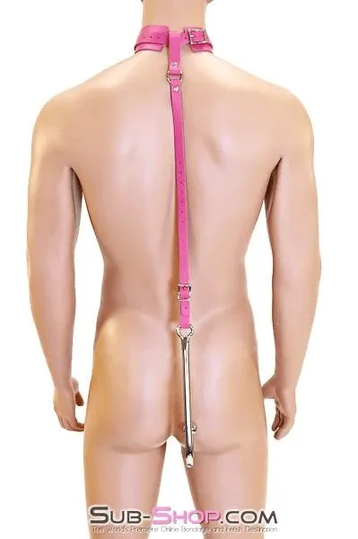 0767A      Femme Trainer Adjustable Anal Hook Trainer and Collar Set, Slim Tip