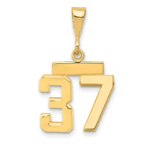 14k yellow gold small polished number 37 charm