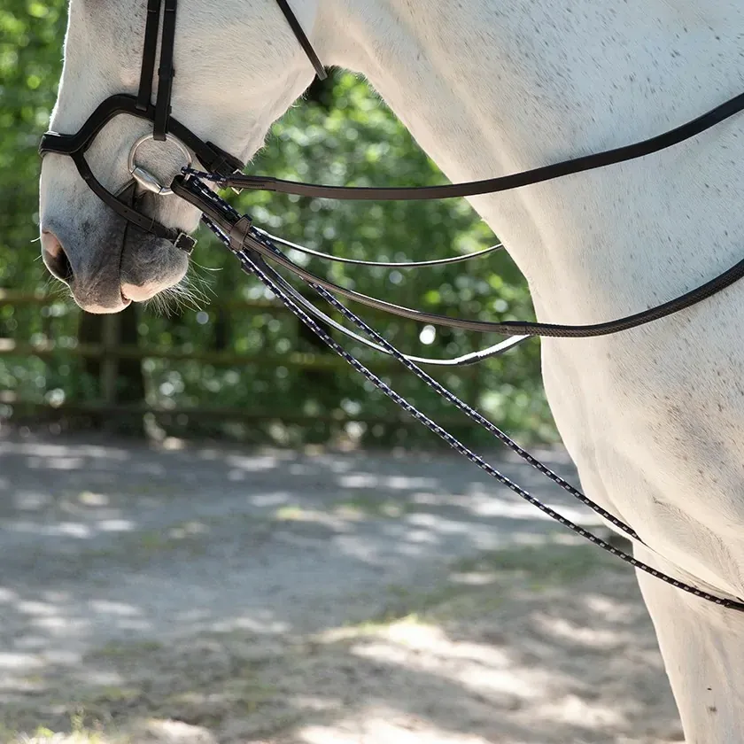 Antarès Precision Draw Reins   FREE Custom Name Tag!