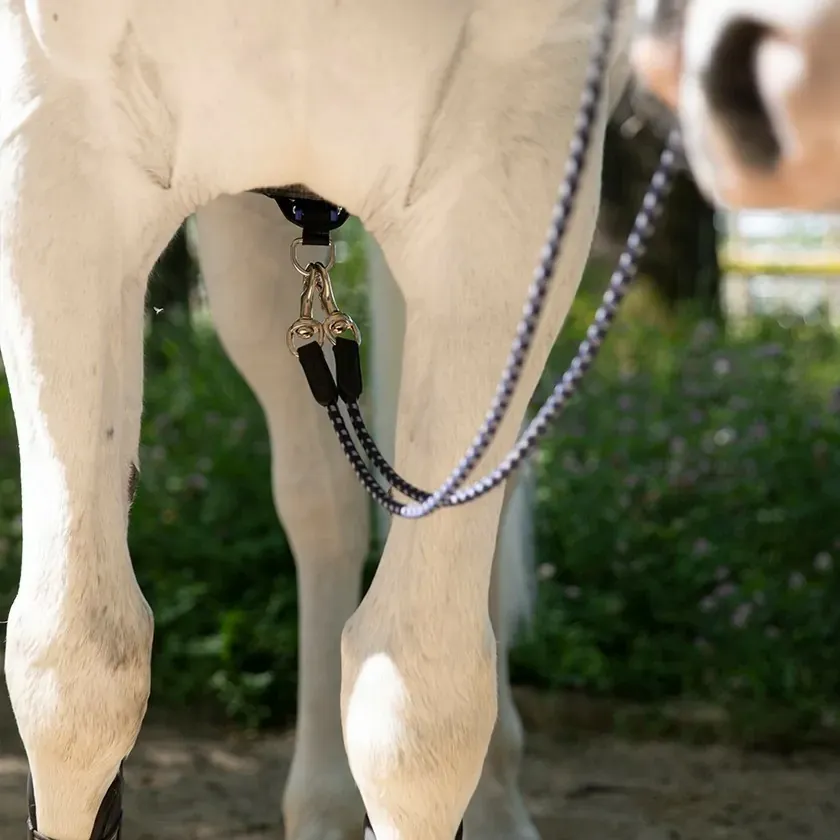 Antarès Precision Draw Reins   FREE Custom Name Tag!