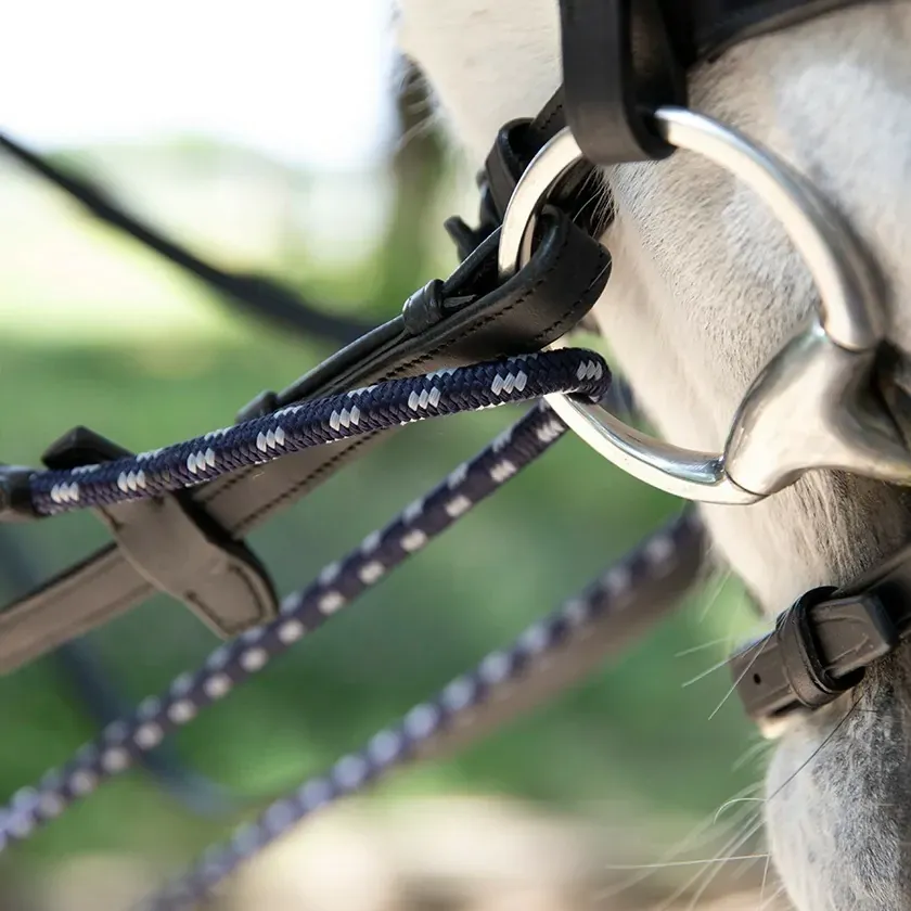 Antarès Precision Draw Reins   FREE Custom Name Tag!