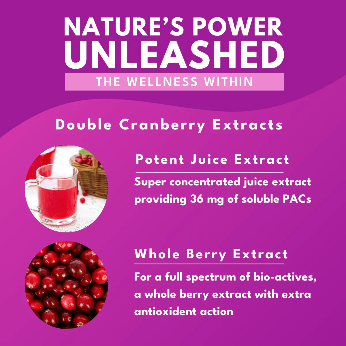 Bold Cranberry Plus