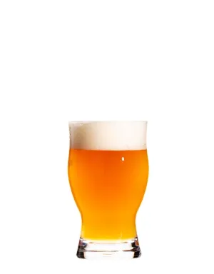 BOLD DRINKWARE- REVOLUTION 16OZ