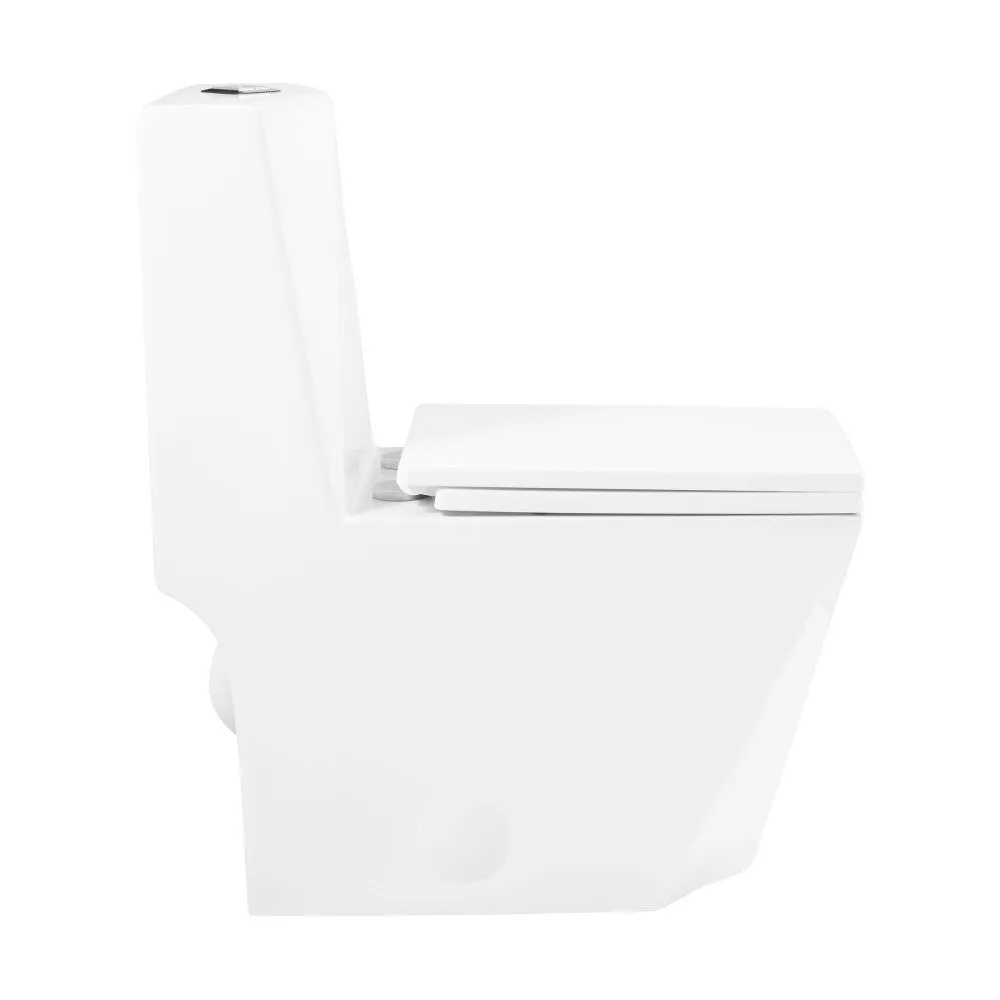 Brusque One-Piece Square Toilet Dual-Flush 1.1/1.6 gpf