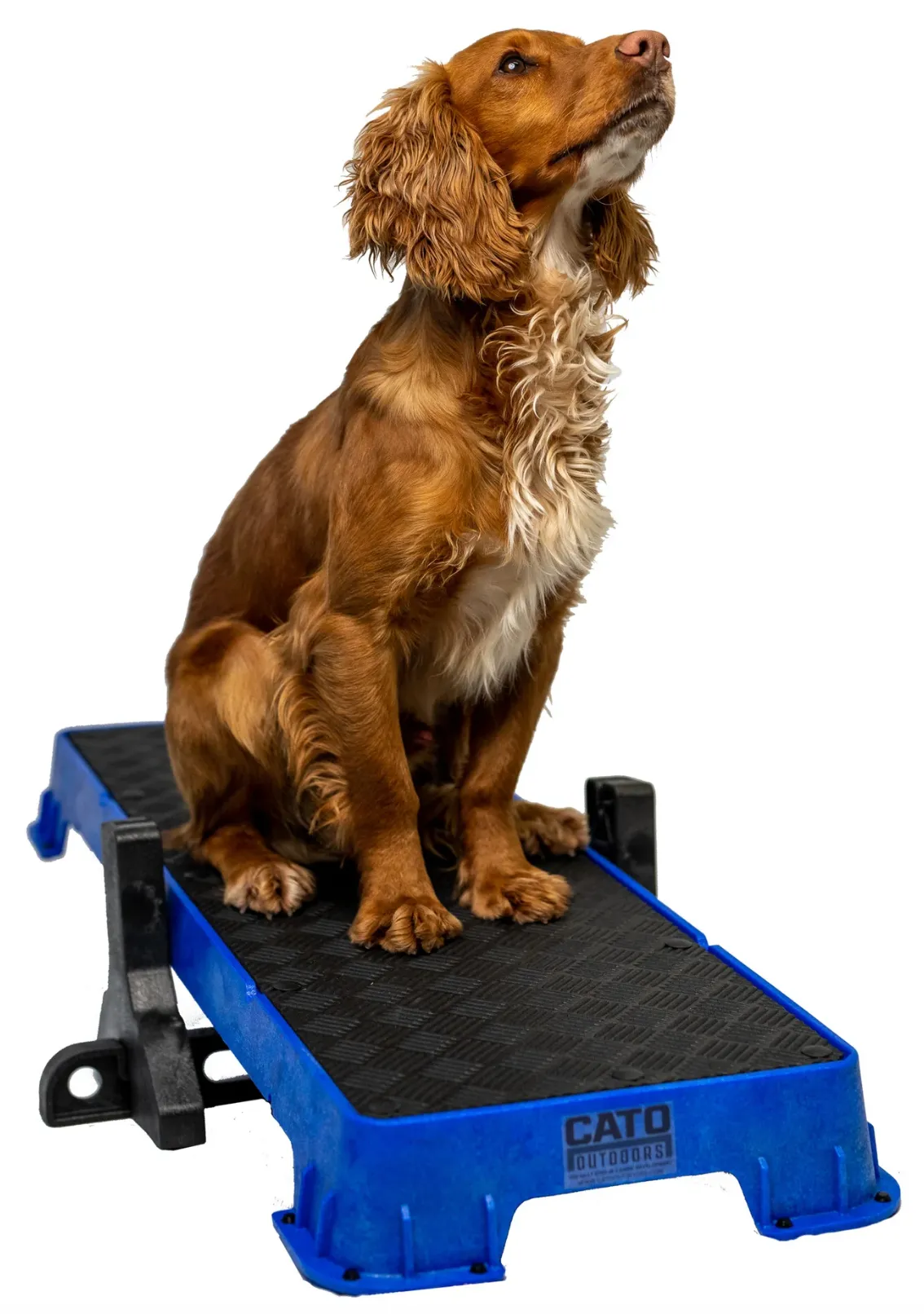 Cato Plank XL Platform