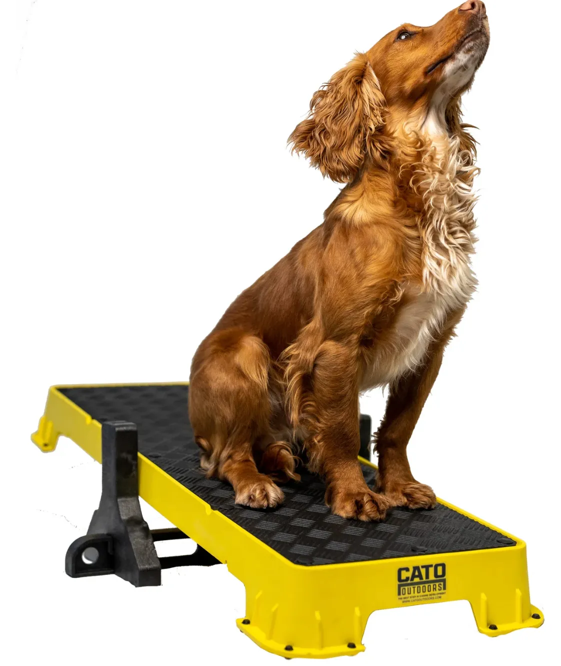 Cato Plank XL Platform