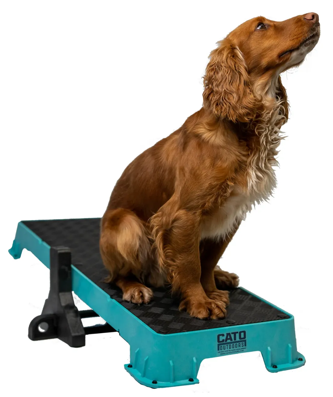 Cato Plank XL Platform