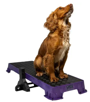 Cato Plank XL Platform