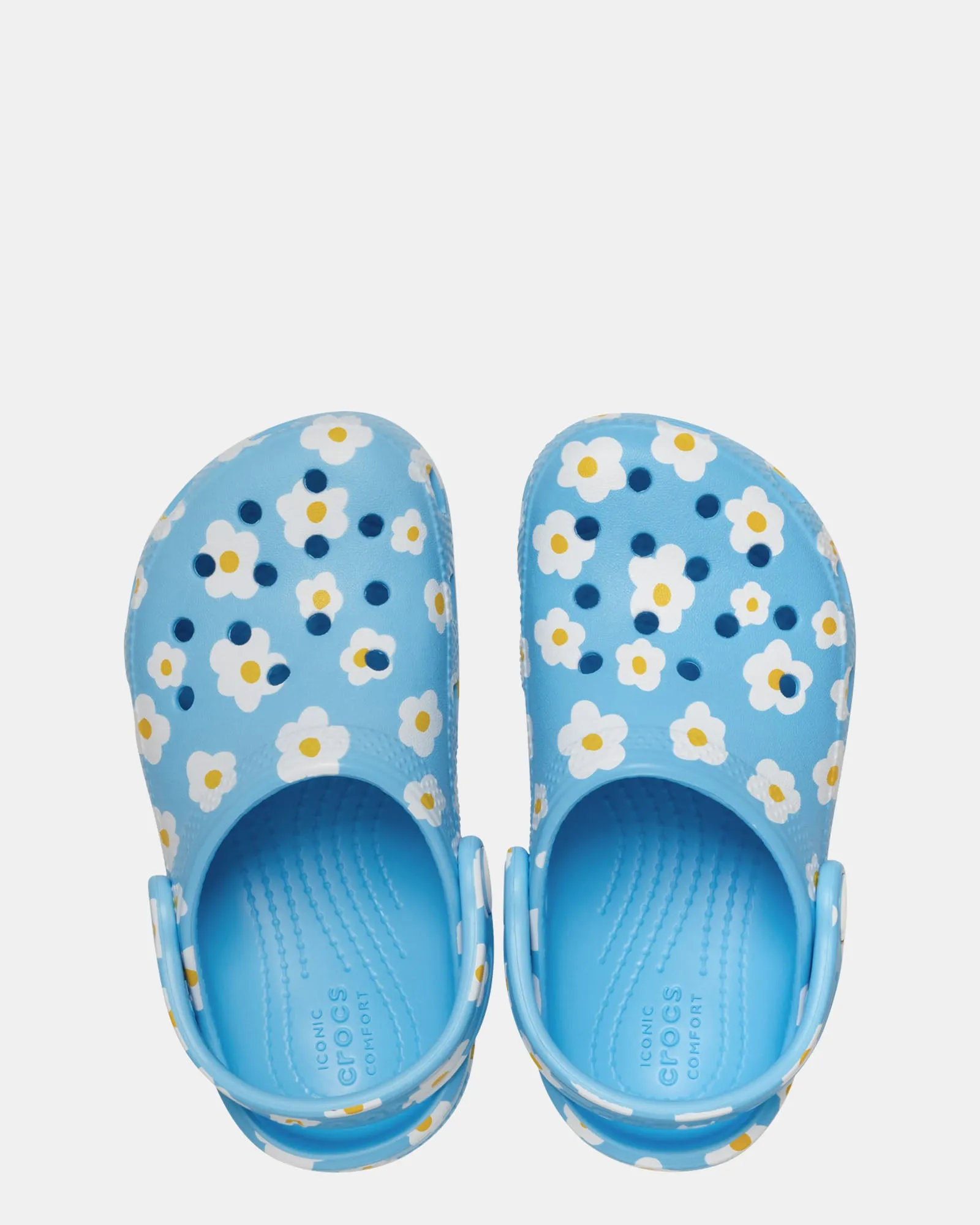 Classic Daisy Clog Inf Tinted Glass