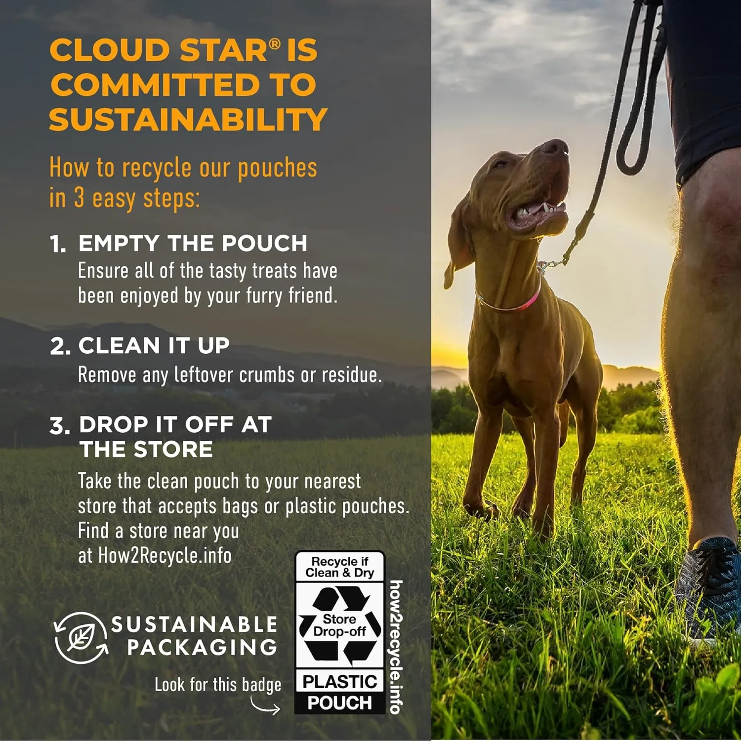 Cloud Star Chewy Tricky Trainer - Cheddar