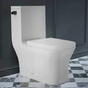 Concorde One-Piece Square Toilet Side Flush, Black Hardware 1.28 gpf
