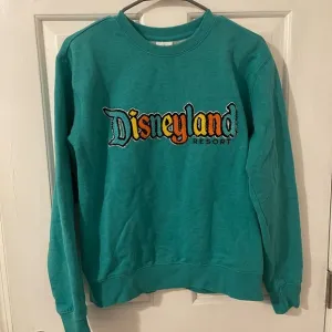 Disneyland Sweater with Colorful Logo on Front