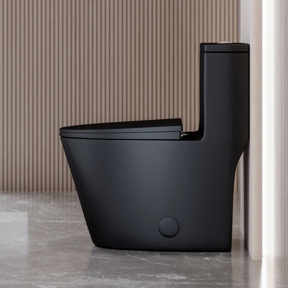 Dreux One Piece Elongated Dual Flush Toilet with 0.95/1.26 GPF in Matte Black