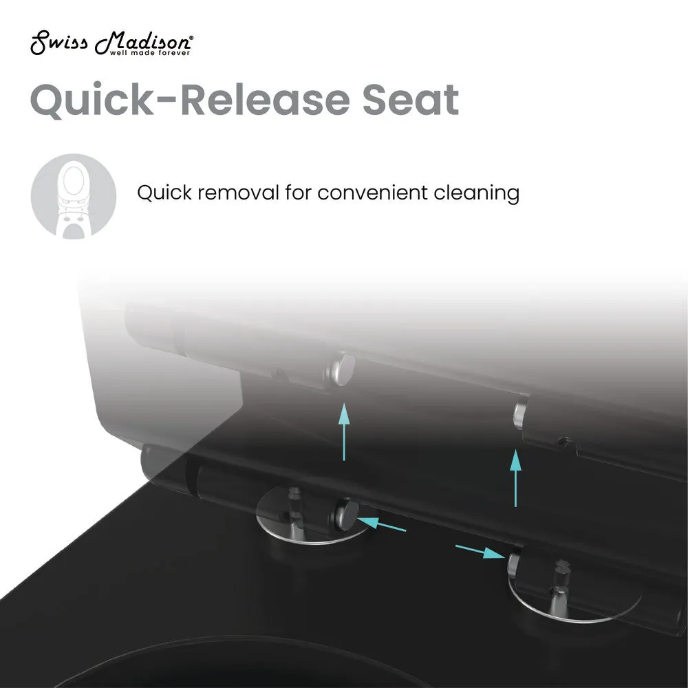 Dreux One Piece Elongated Dual Flush Toilet with 0.95/1.26 GPF in Matte Black