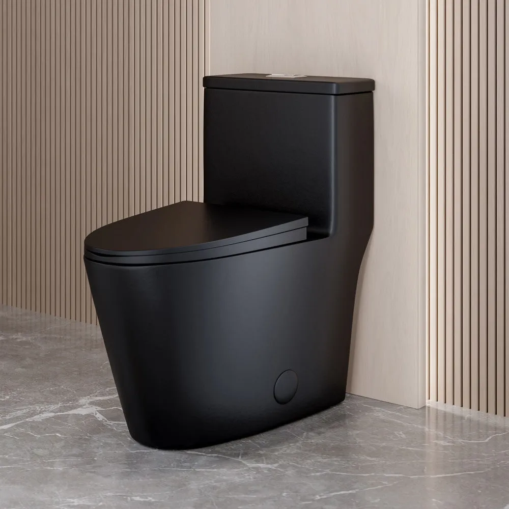 Dreux One Piece Elongated Dual Flush Toilet with 0.95/1.26 GPF in Matte Black