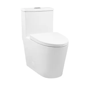 Dreux One Piece Elongated Dual Flush Toilet with 0.95/1.26 GPF