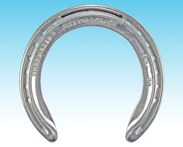 Ed Queen Front T/C (10 Pairs/Box)