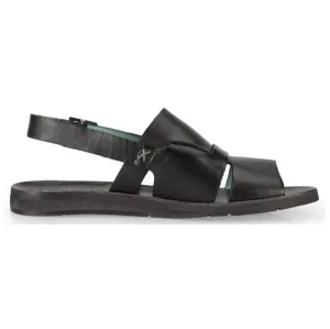 Felmini D786 Calf Black