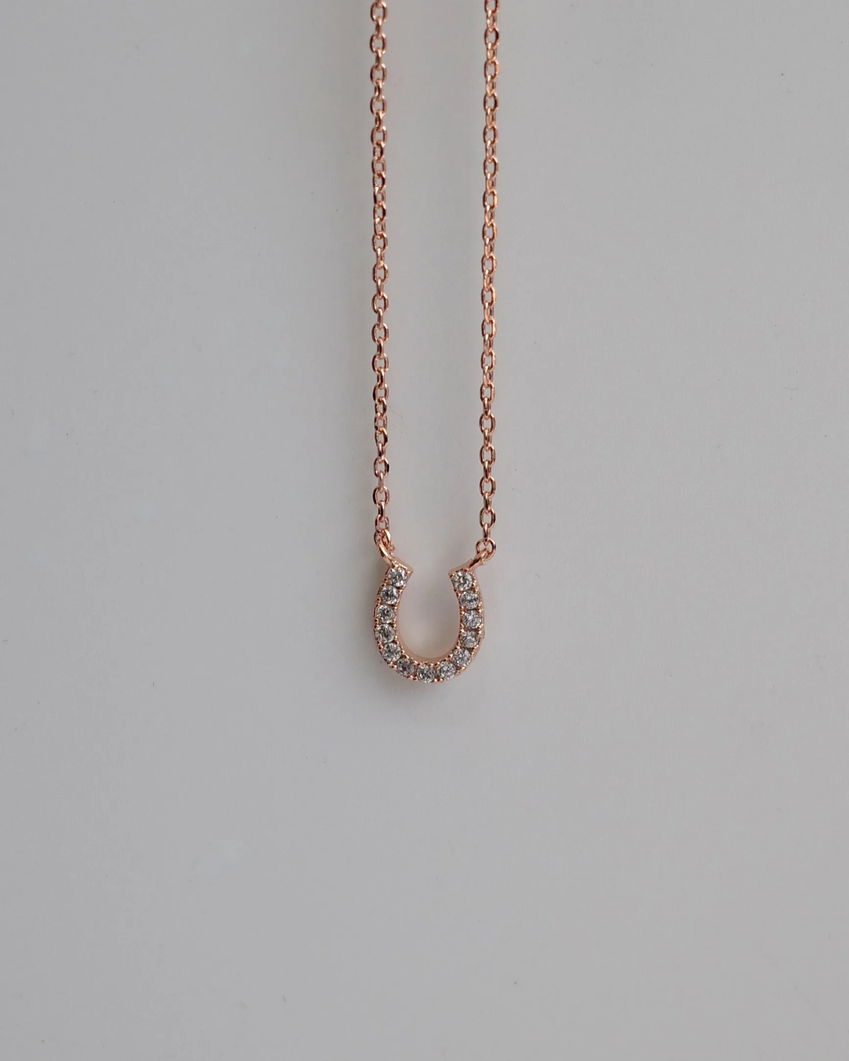 horse shoe necklace