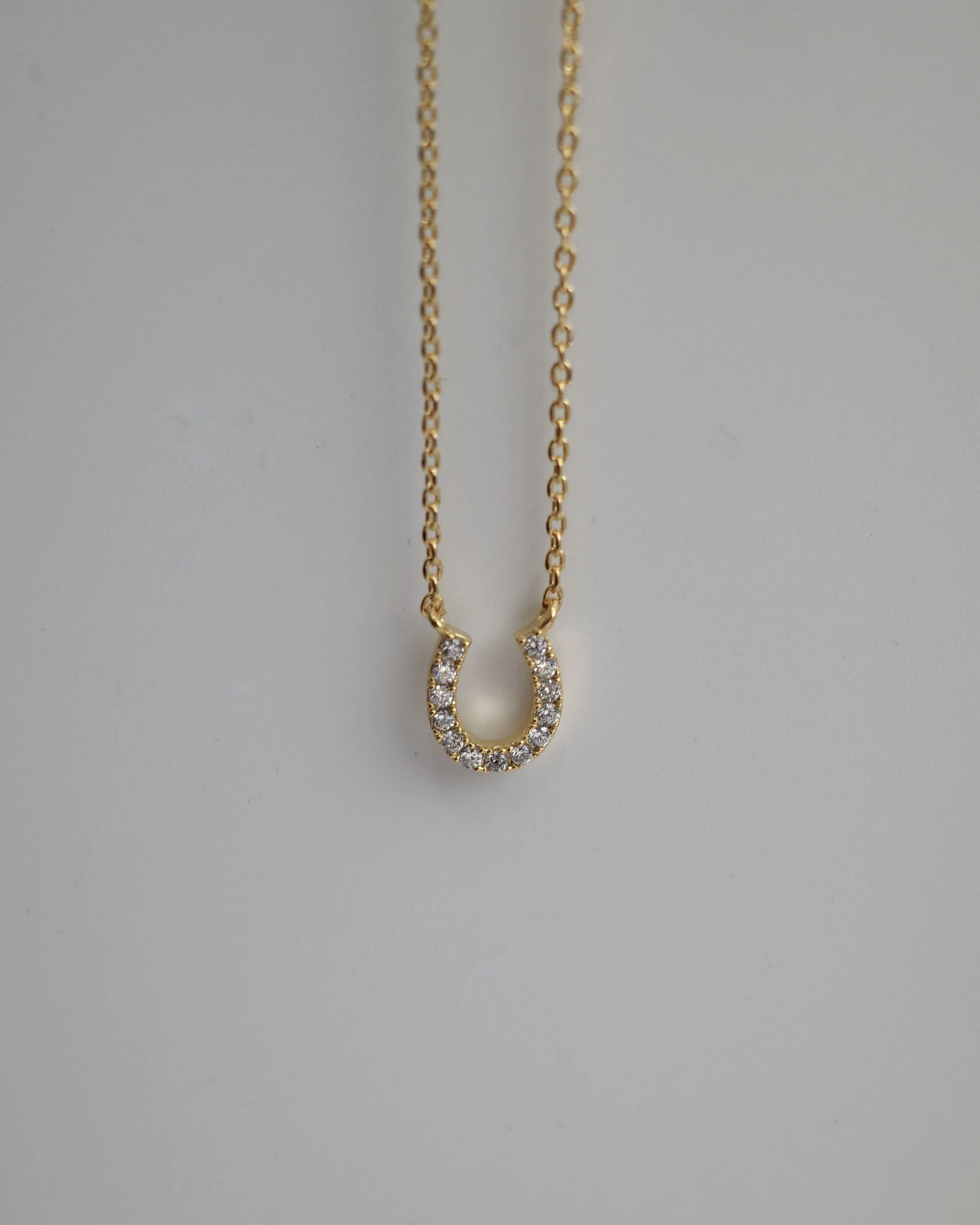 horse shoe necklace