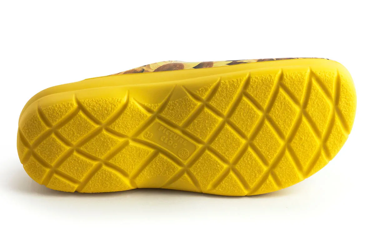 JOLLYS PICTURE CLOGS (open-back), SUNFLOWERS