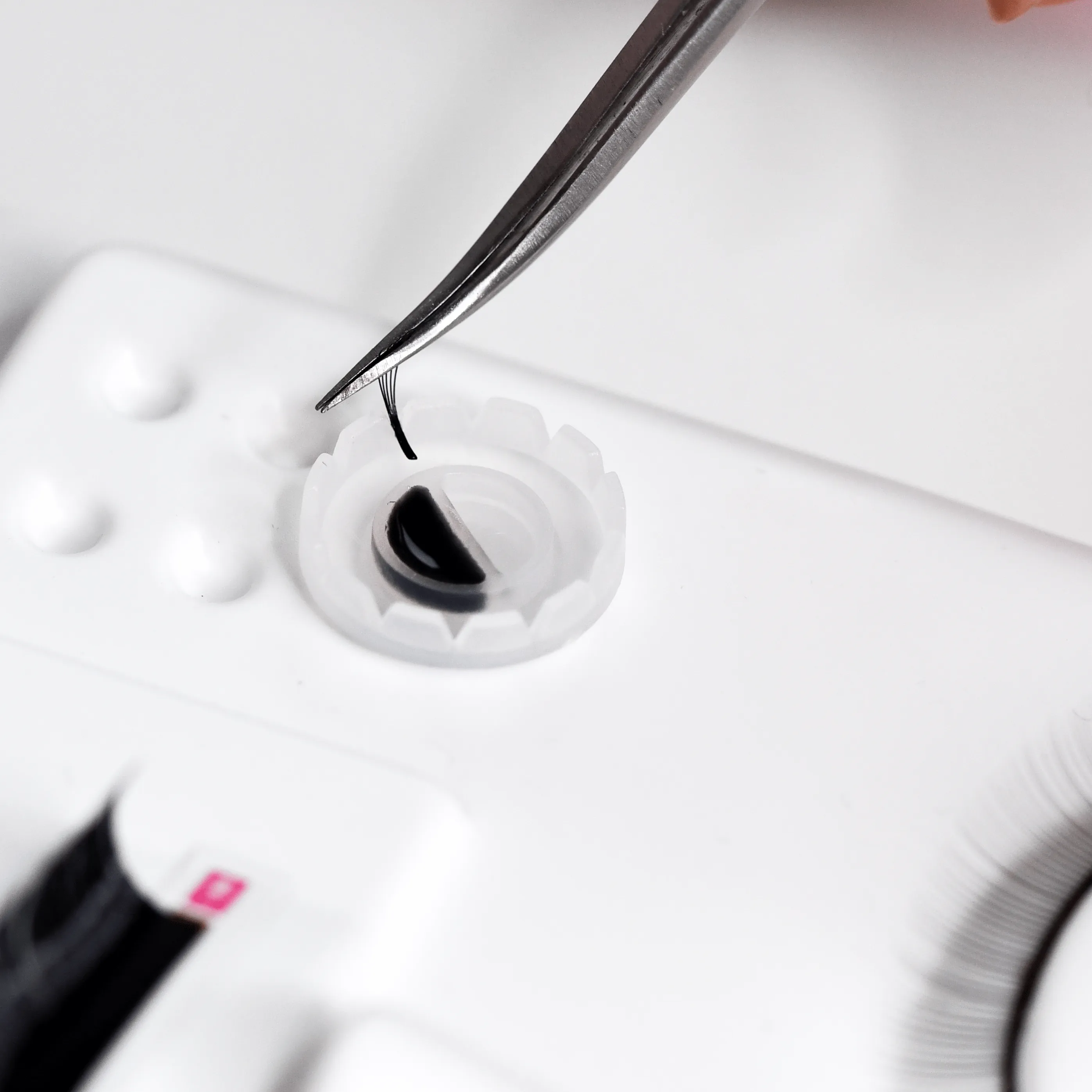 Lash Training Practice Tray