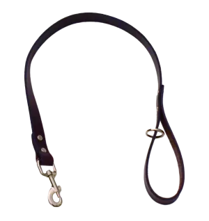 Leather Dog Training Leash