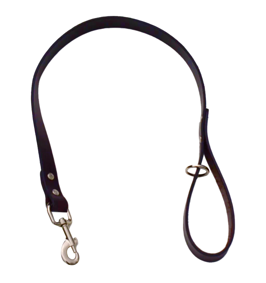 Leather Dog Training Leash