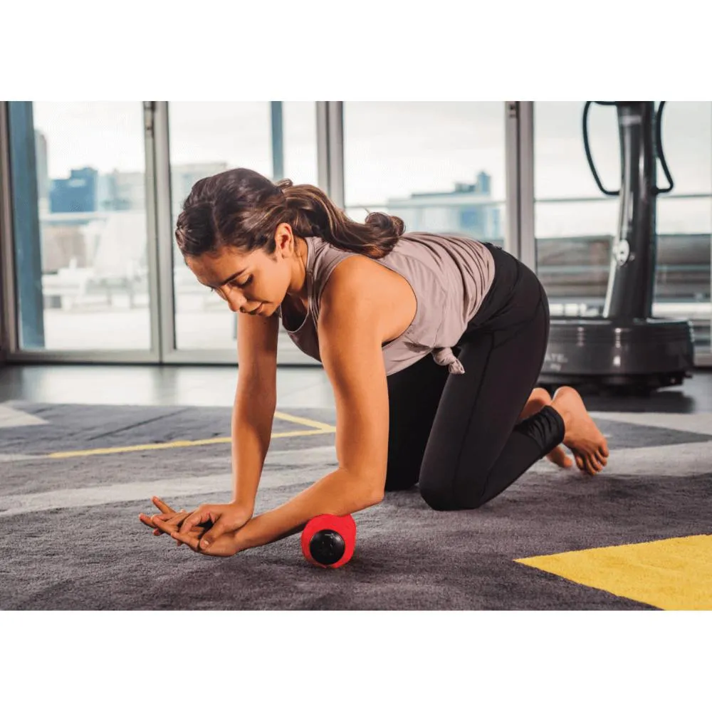 Power Plate DualSphere