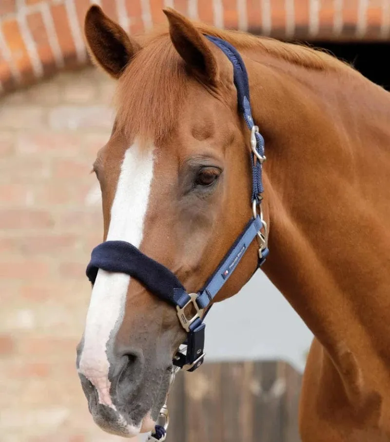 Premier Equine Halter Padded Fleece (6009)