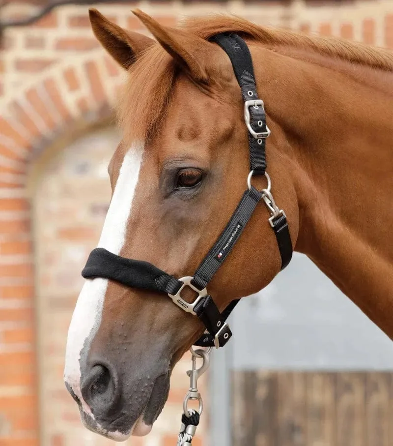 Premier Equine Halter Padded Fleece (6009)