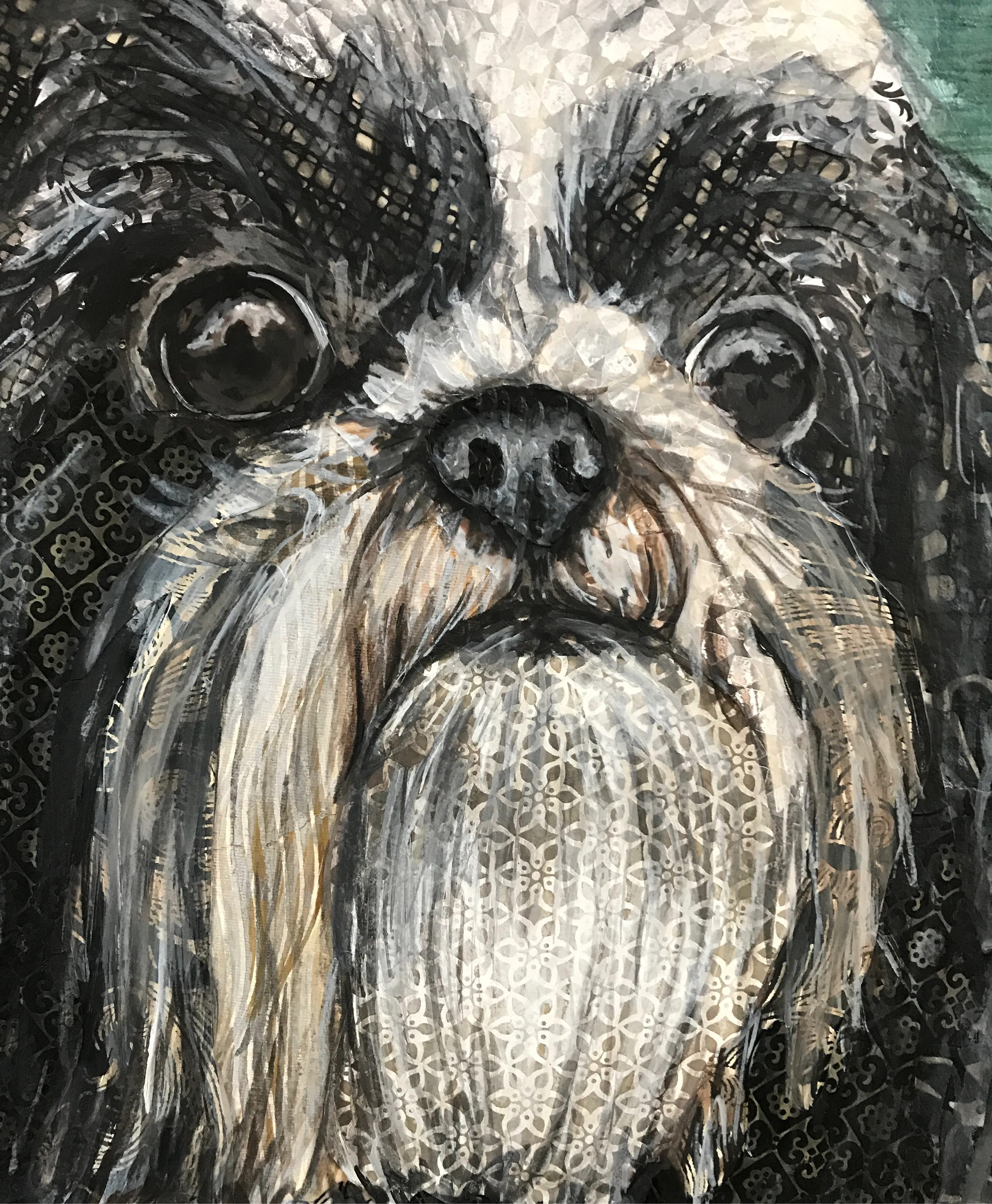 Shih-Tzu 2 in 1
