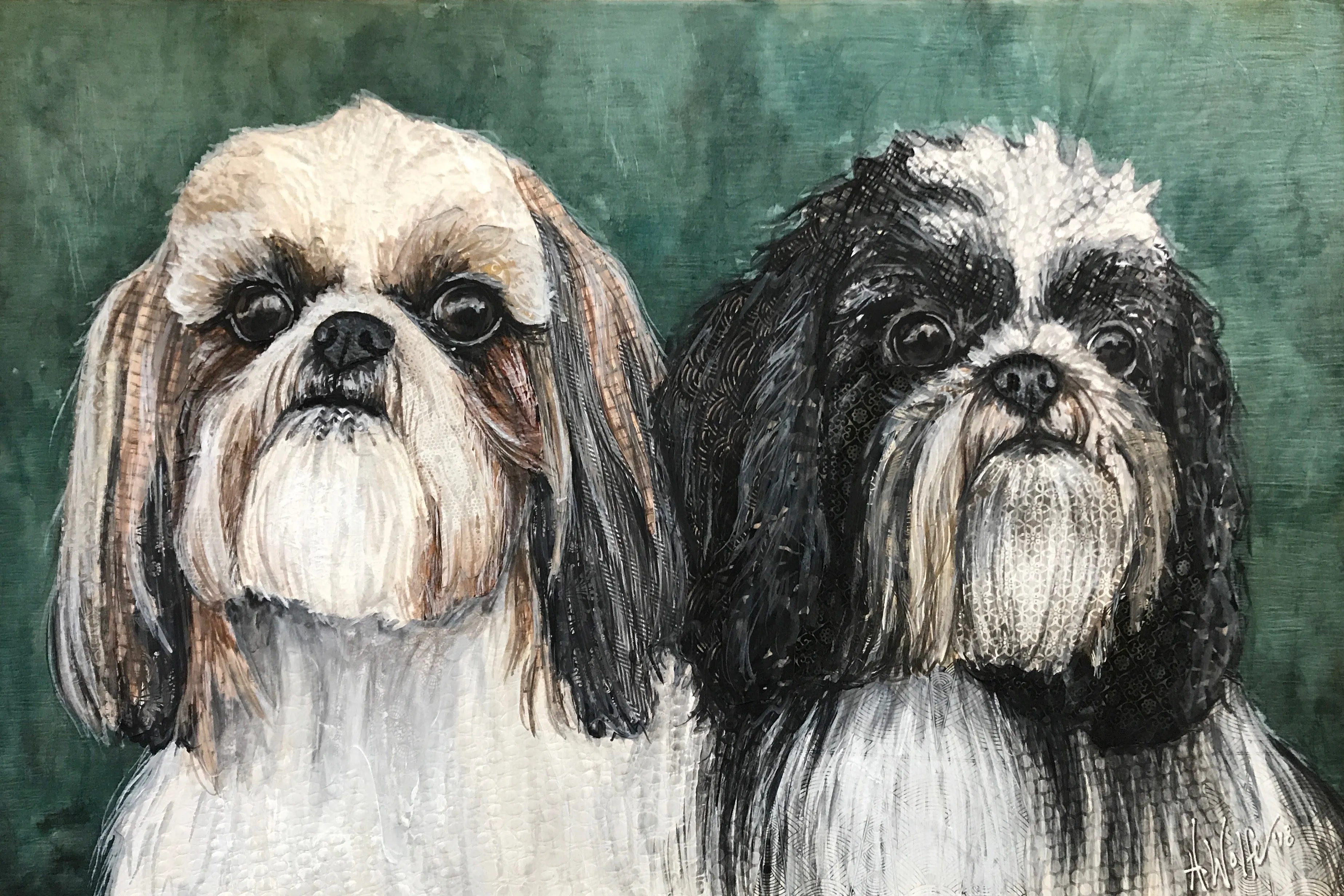 Shih-Tzu 2 in 1