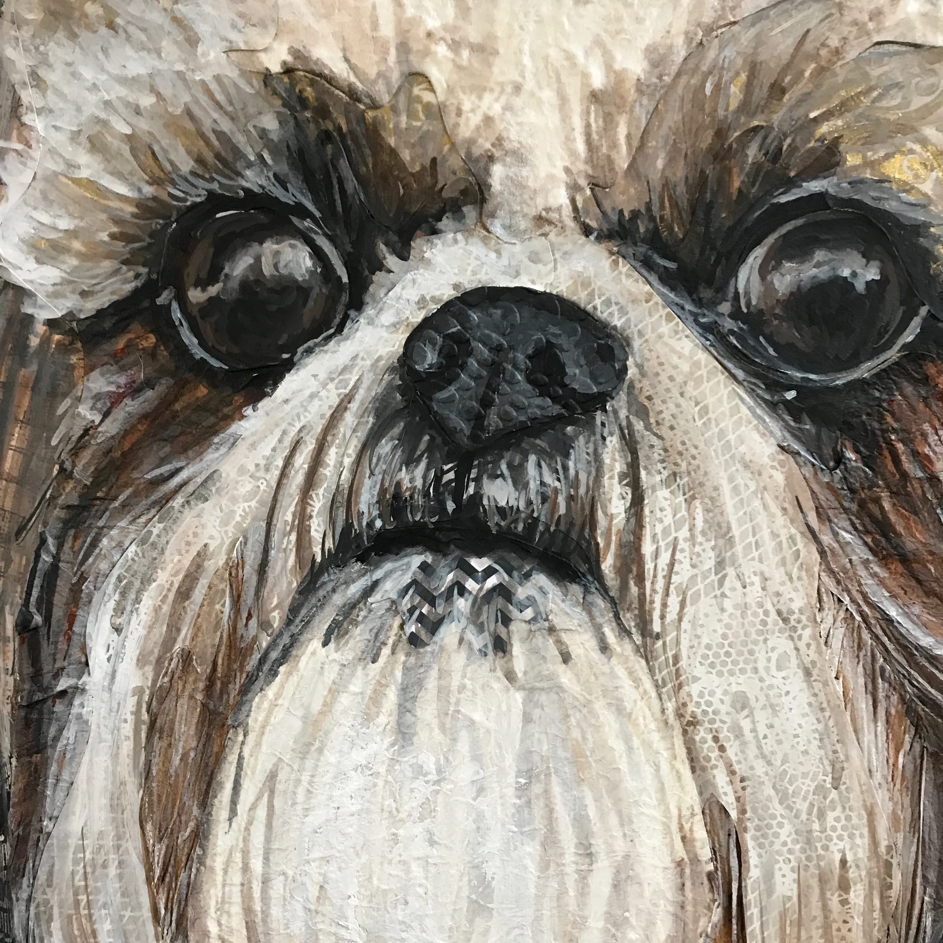 Shih-Tzu 2 in 1