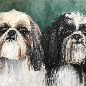 Shih-Tzu 2 in 1