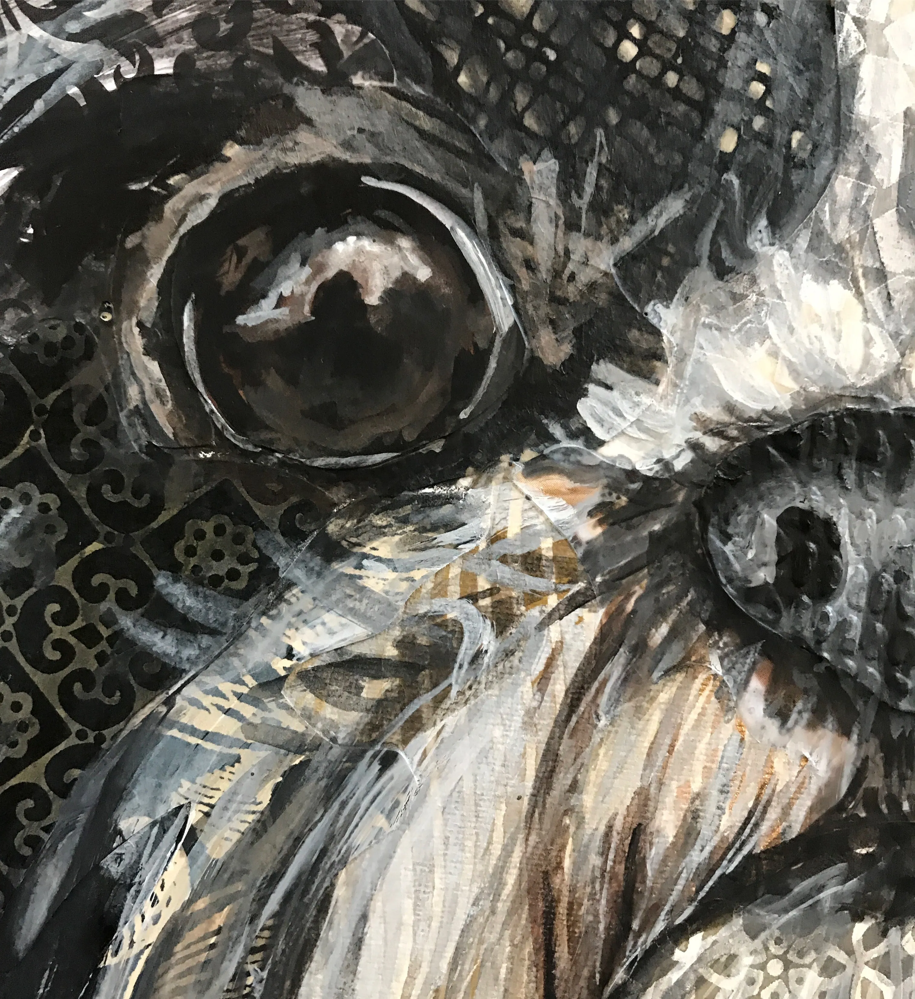 Shih-Tzu 2 in 1