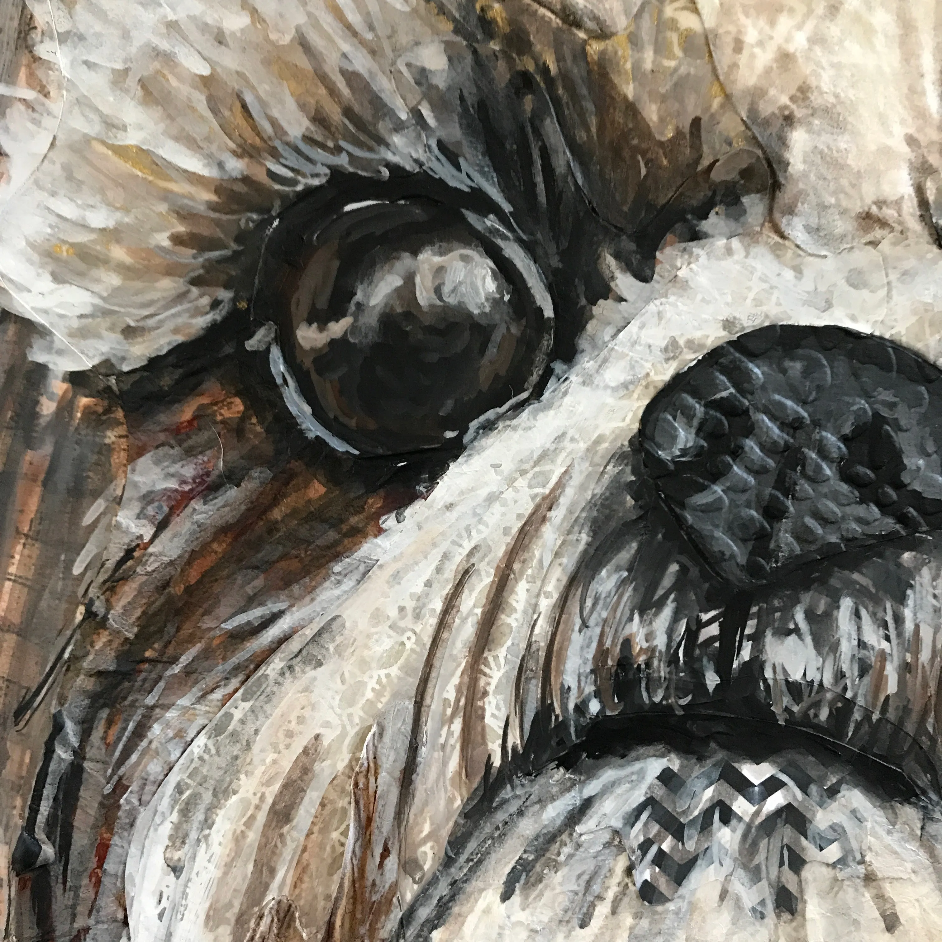 Shih-Tzu 2 in 1