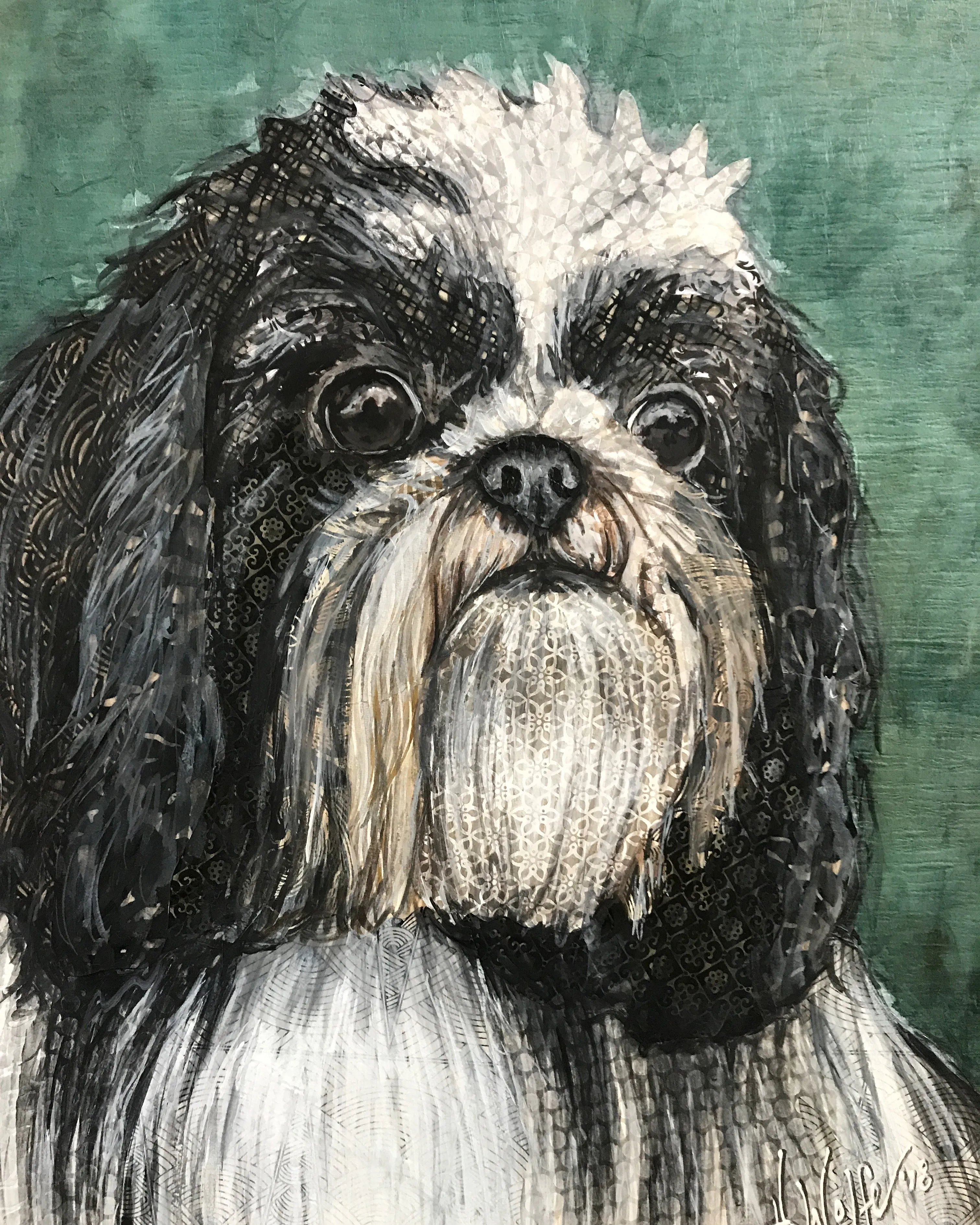 Shih-Tzu 2 in 1