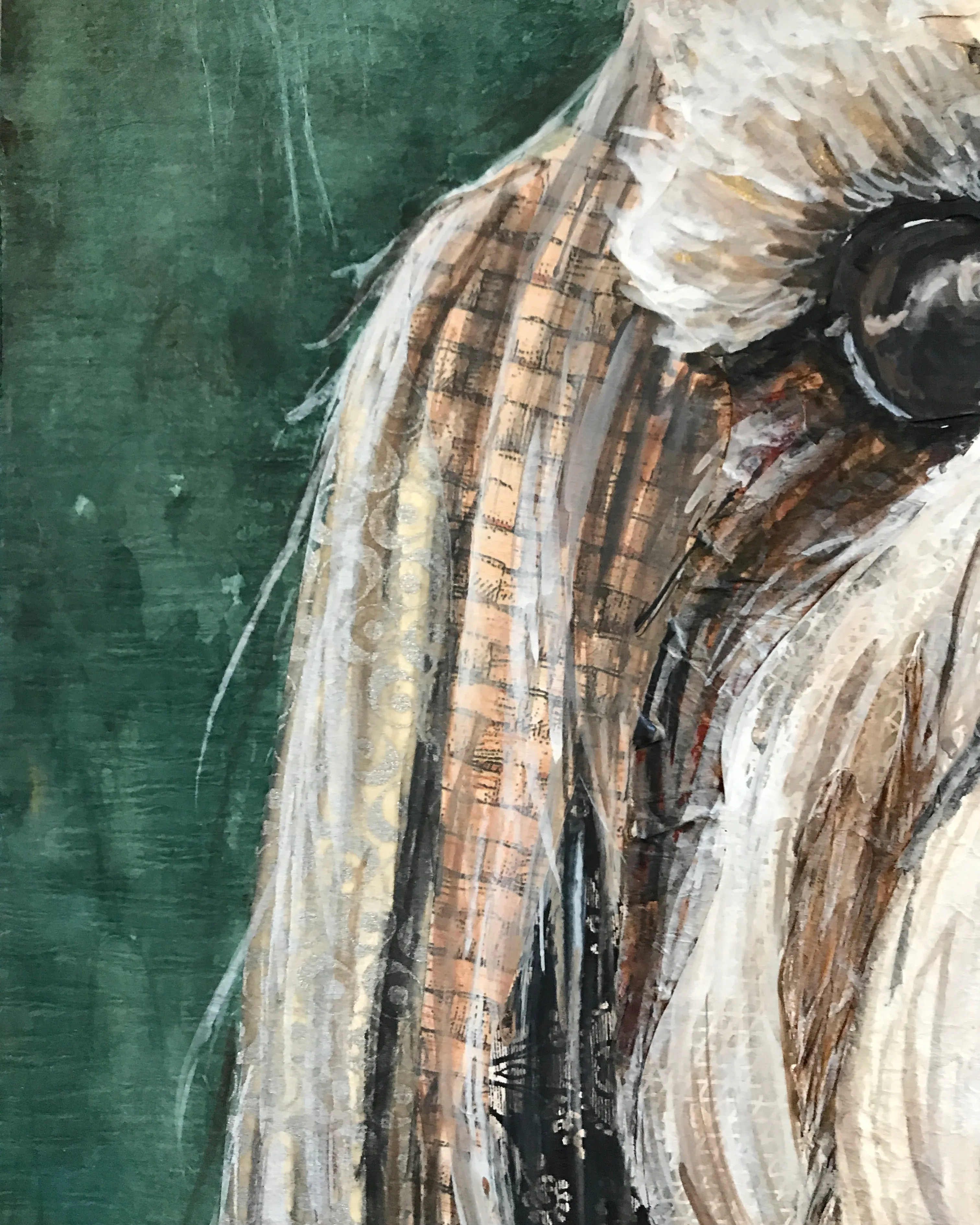 Shih-Tzu 2 in 1