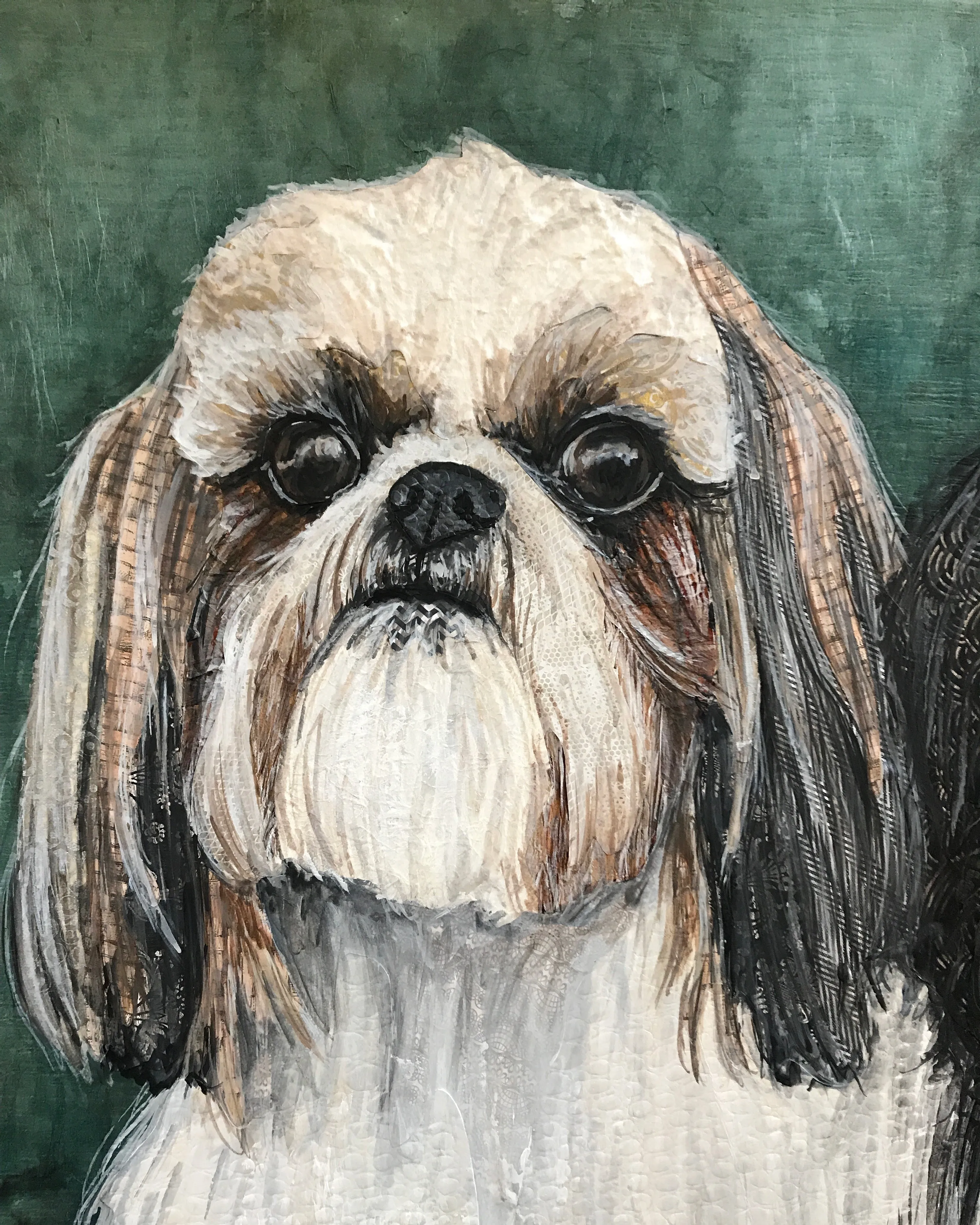 Shih-Tzu 2 in 1