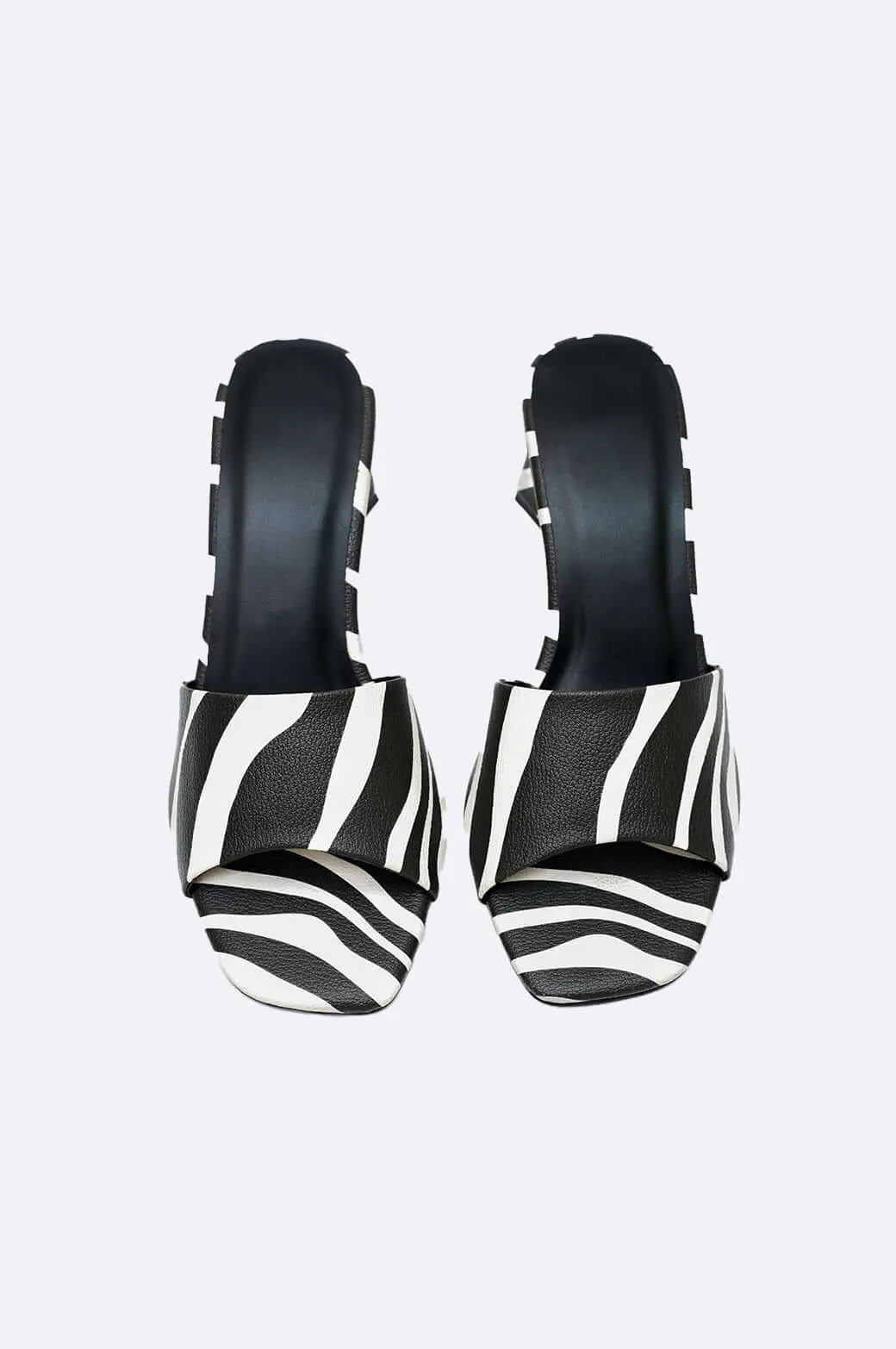 Zebra Noir