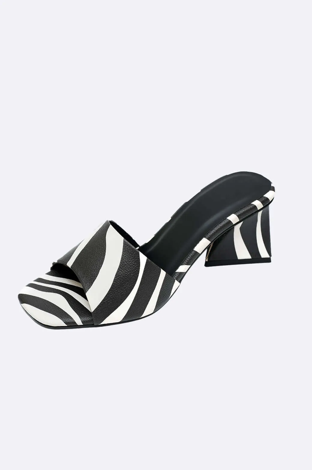 Zebra Noir